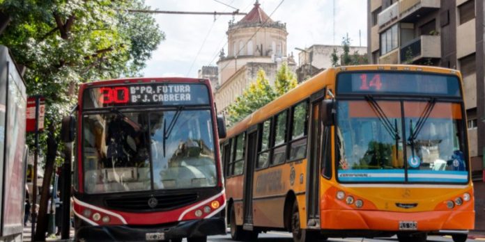 Colectivos2