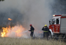 La Provincia declaró el desastre agropecuario por incendios