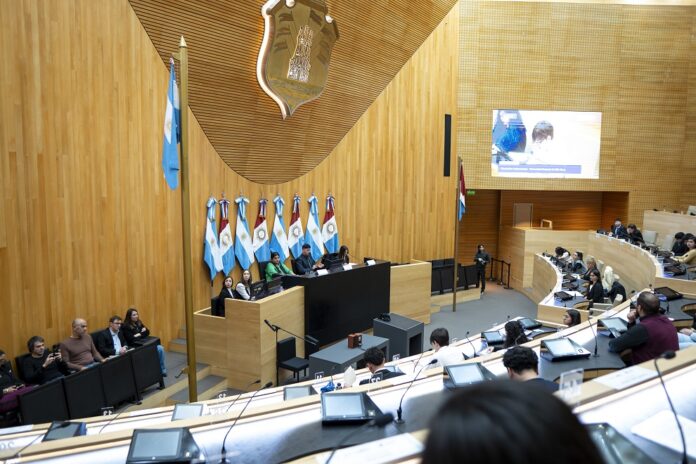 Simulación-Parlamentaria-Universidad-Nacional-de-Villa-María_90